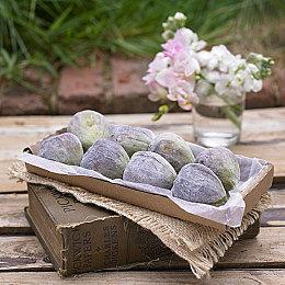 《纸间谜迹》发售日期预告 5月21日上线